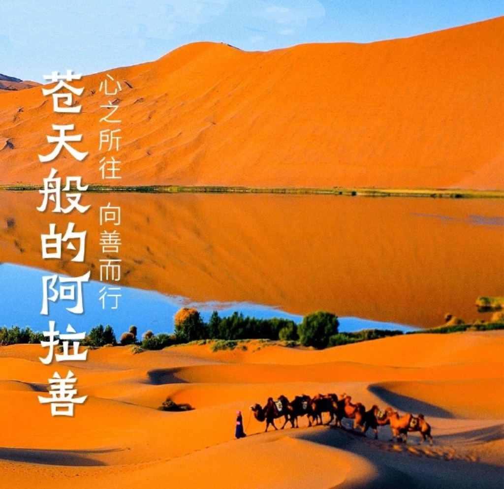 微信图片_20250926150147