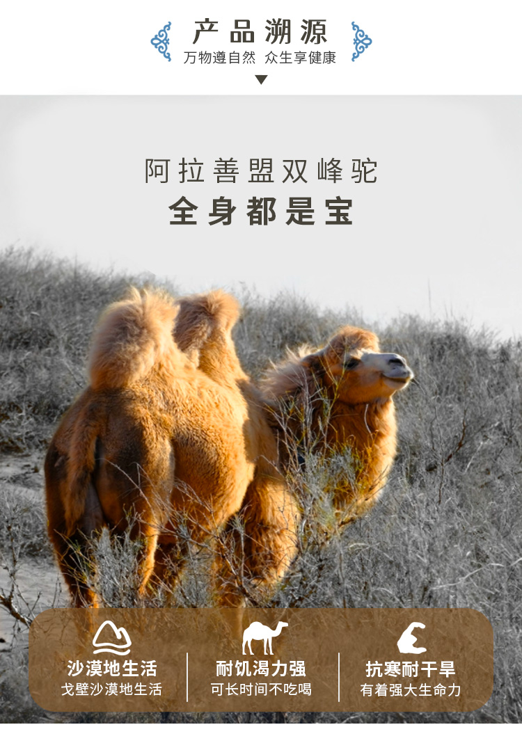 微信图片_20250926083034